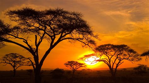 Sunset In The Serengeti Tanzania Windows Spotlight Images