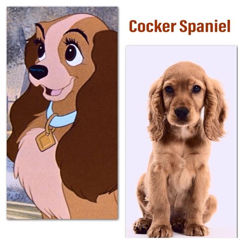 What Are The Dog Breeds Of These Famous Disney Films Mad Meaning