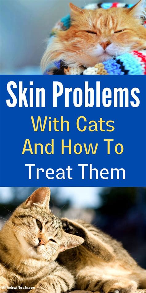 7 Common Skin Problems With Cats And What Causes Them Cat Skin