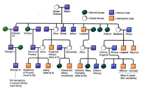 This means that although she is officially the the duke is queen elizabeth's third cousin; Queen Victoria Family Tree showing the carriers and ...