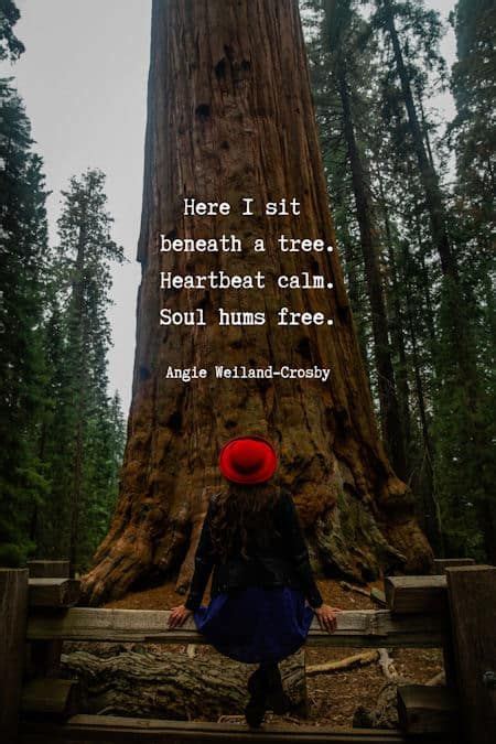 Tree Quotes And Tree Poetry That Branch To Your Soul Tree Quotes