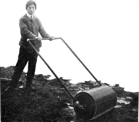 Maybe you would like to learn more about one of these? Chapter XXXIV. A Lawn-Roller