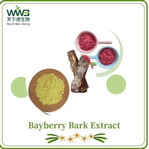 Herbal Extract Health Food Bayberry Bark Extract