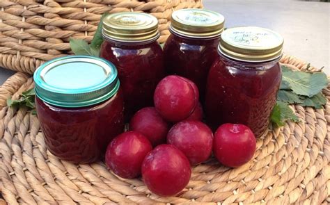 Maybe you would like to learn more about one of these? 14 Healthy Plum Baby Food Recipes