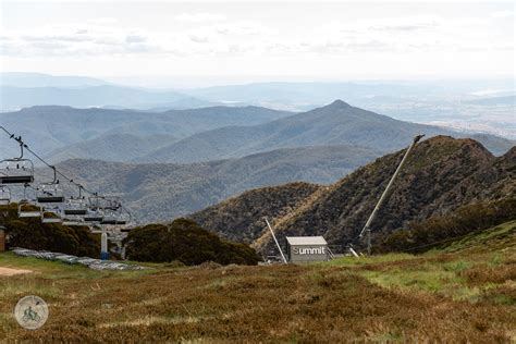 Mt Buller In Summer — Mamma Knows North