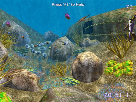 3d Ocean Fish © 7art Download For Free Getwinpcsoft