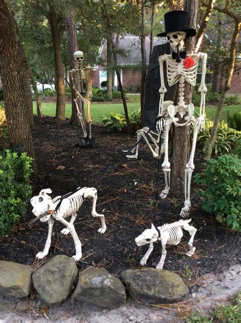 20 Funny Halloween Skeleton Ideas