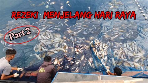 PUKAT CINCIN Begini Proses Penangkapan Ikan Mahal Di Laut Aceh YouTube