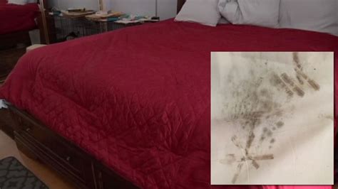 Sleep number bed problems, no longer! Sleep Number Bed Problems Black Mold : Is Toxic Mold Exposure The Cause Of Your Symptoms Black ...