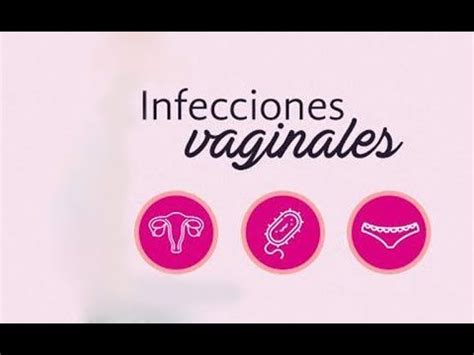 Que Son Las Infecciones Vaginales Y Como Prevenirlas Infeccion