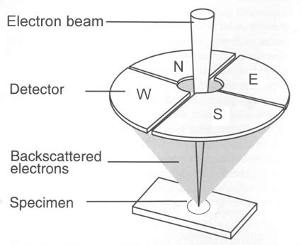 I had no choice but to implement my own data augmentation with python using tensorpack (a low level api), which was. Using a four-quadrant detector: how to give your SEM ...