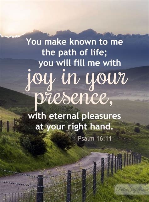 Pin By Massiel On Jesus Calling Psalm 1611 Psalms Joy Quotes