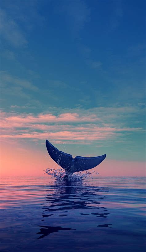 Pin By Nata Bezdelova On Whales Iphone Wallpaper Whale Ocean