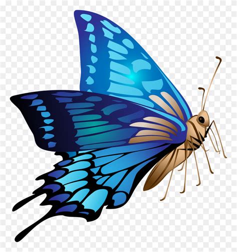 Blue Butterfly Find And Download Best Transparent Png Clipart Images