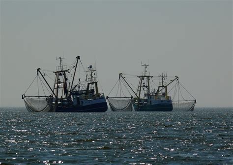 China And The Eu Arent The Only Ones To Blame For Harmful Fisheries