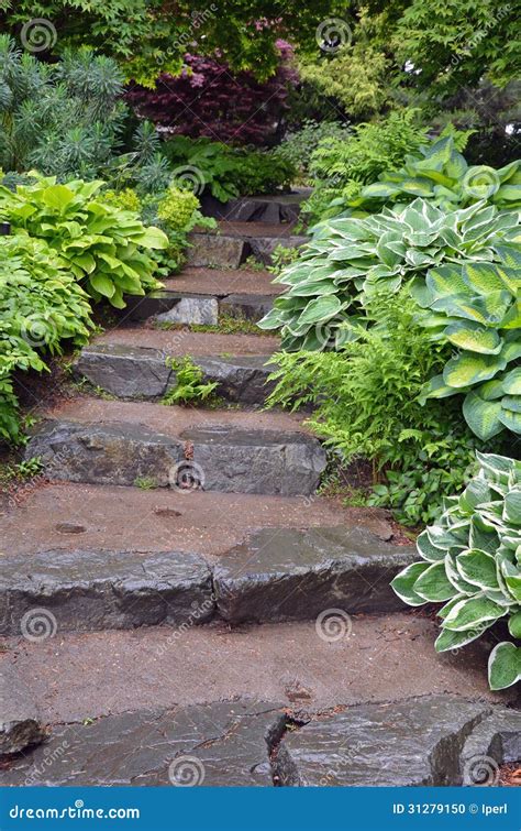 Stone Steps In Botanical Garden Stock Photo Image Of Staircase