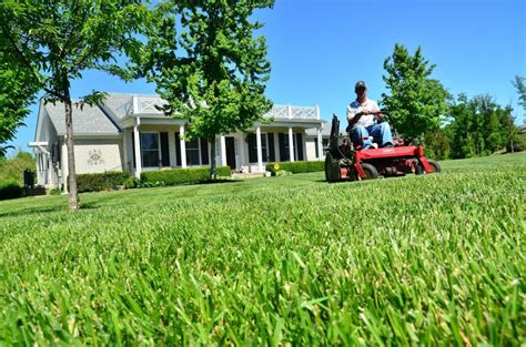 The best way to stay in business is to build a strong client base that stays with you for years. Tips For Starting A Successful Lawn Care Business - Daily ...