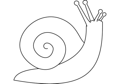 Make a coloring book with snail cute for one click. Snail Coloring Page - GetColoringPages.com