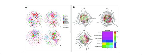 The Networks A And Cooccurrence Networks B Based On The