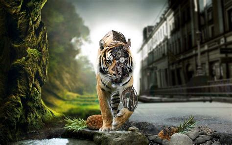Wallpapers Of Tigers Wallpaper Cave