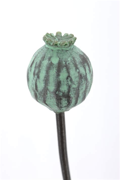 Poppy Seed Garden Set Of 3 Stems — Paul Cox Sculpture