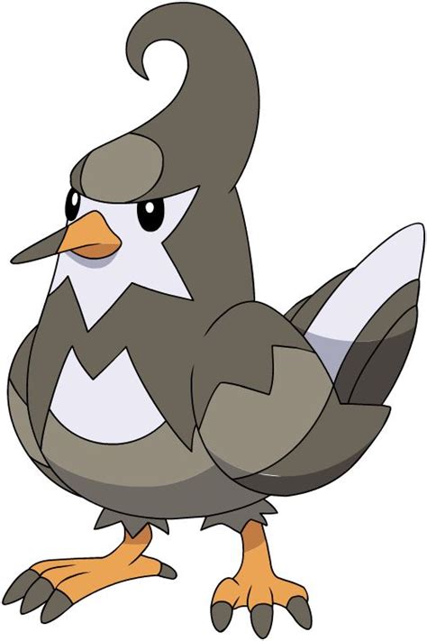 Staravia Pokémon Wiki Fandom Powered By Wikia In 2021 Pokemon Ash Pokemon Flying Type