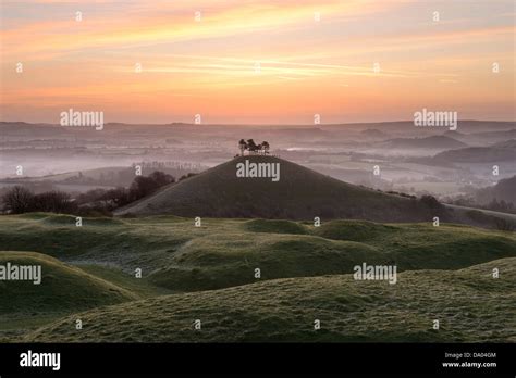 Colmers Hill Dorset At Sunrise On A Misty Early Morning In Early