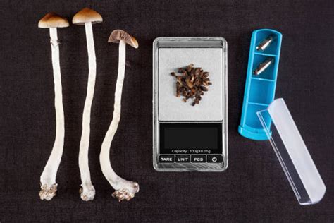 Best Psilocybin Mushroom Stock Photos Pictures And Royalty Free Images
