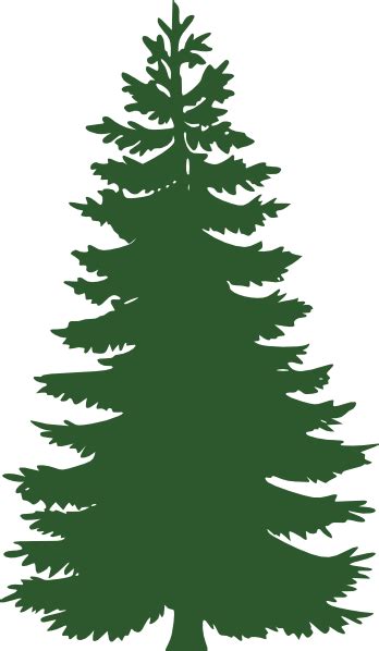 Evergreen Clipart 20 Free Cliparts Download Images On Clipground 2024