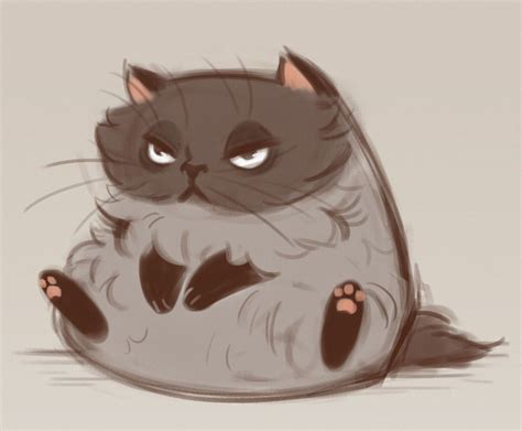 Fluffy Cat Sketch Daily Cat Drawings Bodemawasuma