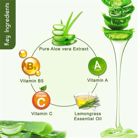 Buy Keya Seth Aromatherapy Aloe Vera Gel With Vitamin A B And C 190gm Online And Get Upto 60 Off
