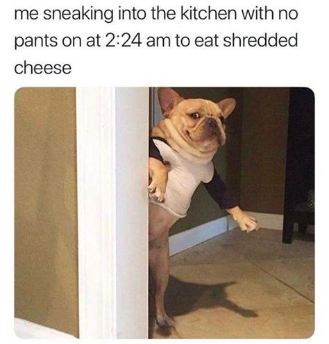 The fastest meme generator on the planet. Shredded cheese is like my crack - Meme by AustinTurrill ...