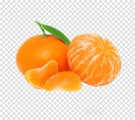 Orange Clipart Fruit Mandarin Orange Tangerine Transparent Clip Art