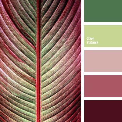 Vibrant Green And Burgundy Color Palette