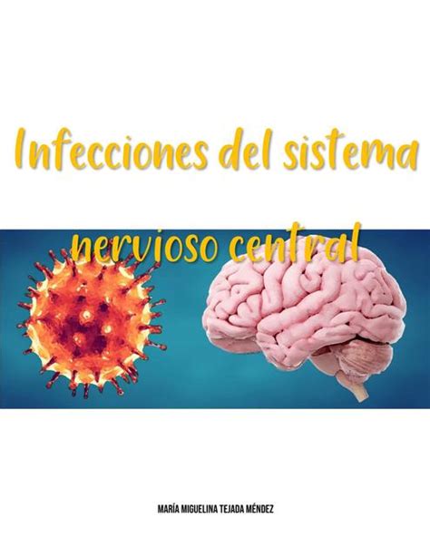Infecciones Del Sistema Nervioso Central Sistema Nervioso Central Sexiz Pix