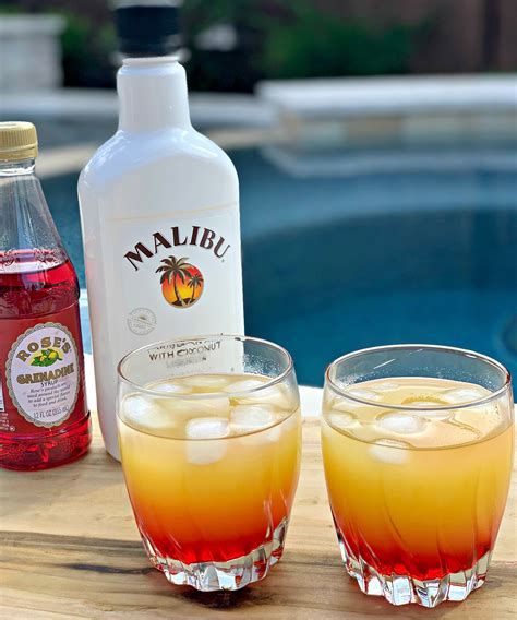 Drink Recipes With Malibu Pineapple Rum Bryont Blog