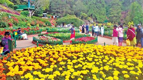 ooty tour memorable ooty tour budget ooty tour bangalore to ooty