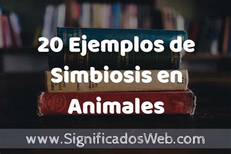 20 Ejemplos De Simbiosis En Animales ️ Tipos Definición Y Análisis