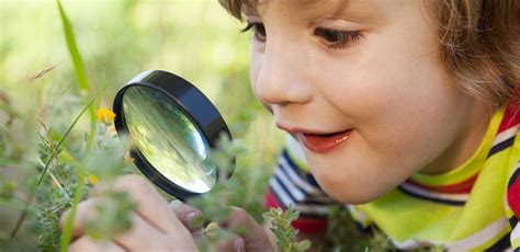 ¿por Qué Debemos Estimular La Curiosidad En Los Niños Mundo Niños