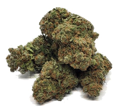 Gorilla Glue 4 Cannabis Review Ultimate Guide