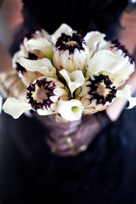 White bouquets complement any wedding dress, and never draw attention away from the bride herself. 14 Classic Wedding Bouquets: Timeless Black and White Chic ...