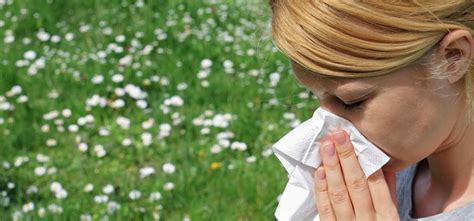 Allergie Au Pollen Que Faire Infos Et Conseils MAAF