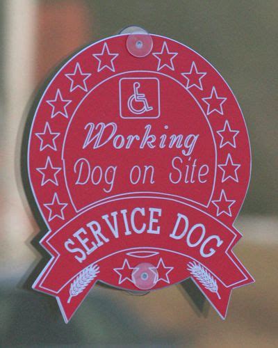 21 Service Dog Signs Ideas Service Dogs Service Animal Dog Signs