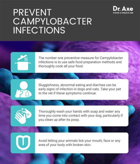 Campylobacter Causes And Symptoms What To Do Dr Axe