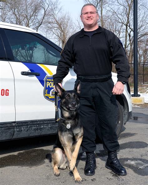 Flickriver Photoset Philadelphia Police K9 Training By Phillycop