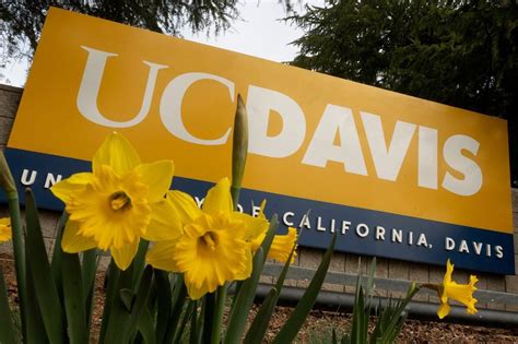 Uc Davis Offers For Students To Stay On Campus For Spring Break Thegrio