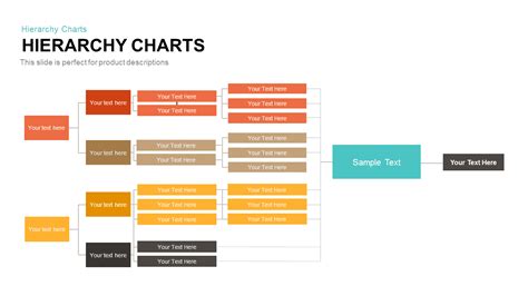 Hierarchy Chart Template For Powerpoint And Keynote Slidebazaar