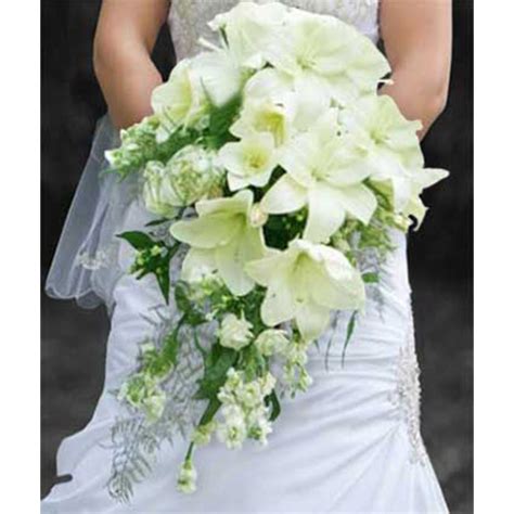Maybe you would like to learn more about one of these? Cascading Lilies Flowers Springfield MO- Blossoms