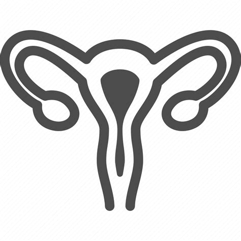 Female Human Internal Organ Reproductive Uterus Icon Download On