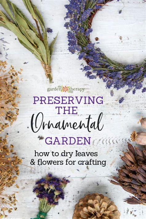 Some of the old methods of preserving flowers were: Preserving the Ornamental Garden: How to Dry Flowers ...